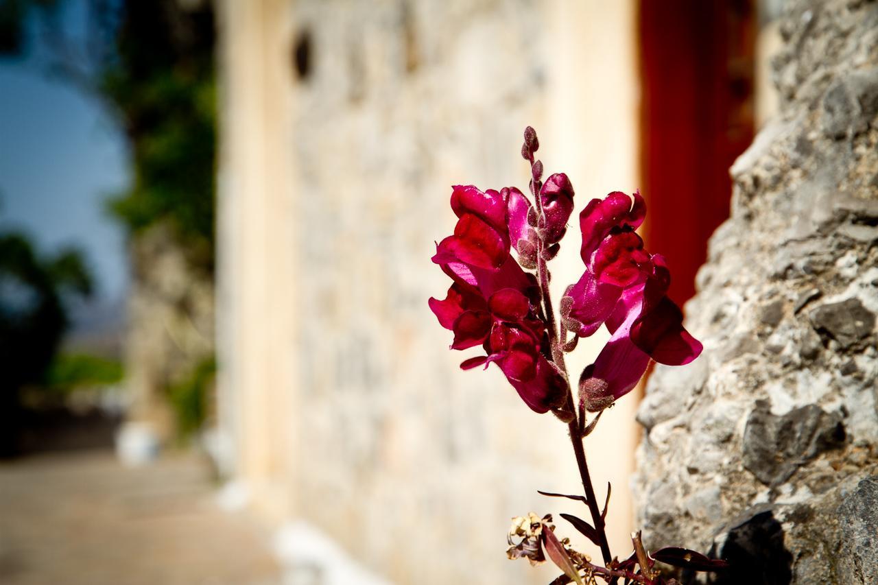 Monastiraki Traditional Guest House Monastirakion  Eksteriør billede